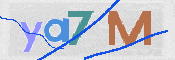 Image Anti-spam
